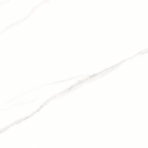 PORCELANATO STATUARIO - PR12187 62X121
